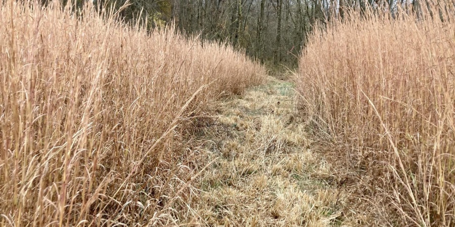 0 S Iron Mountain Road, Bloomfield, Indiana 47424,MLS,202545740