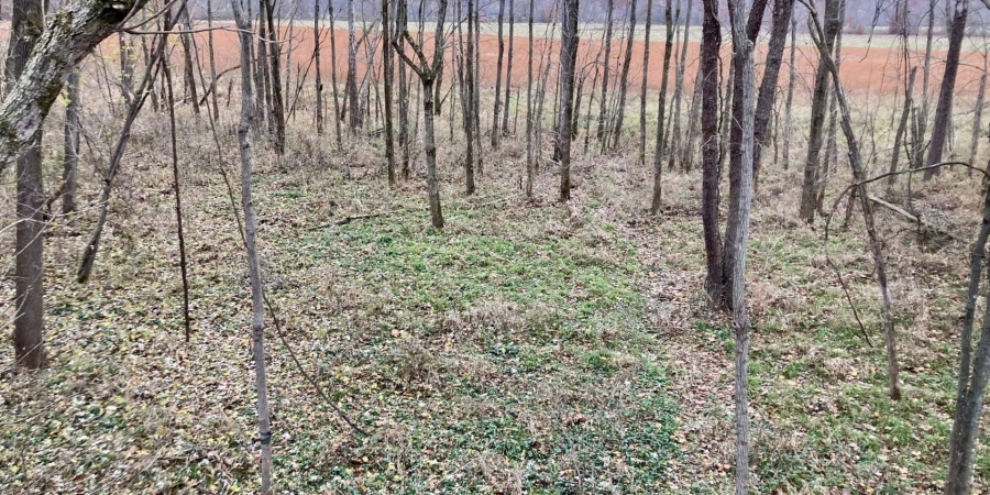 0 S Iron Mountain Road, Bloomfield, Indiana 47424,MLS,202545740