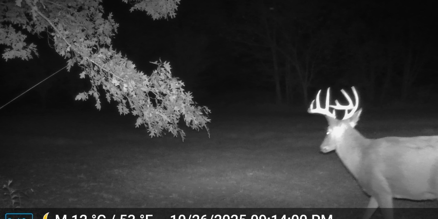 1 S Iron Mountain Road, Bloomfield, Indiana 47424,MLS,202545741