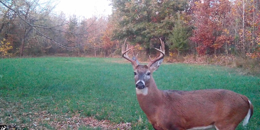 1 S Iron Mountain Road, Bloomfield, Indiana 47424,MLS,202545741