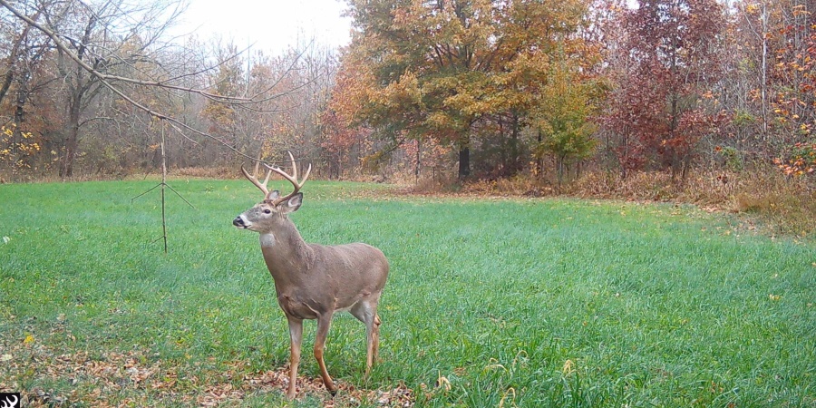 1 S Iron Mountain Road, Bloomfield, Indiana 47424,MLS,202545741