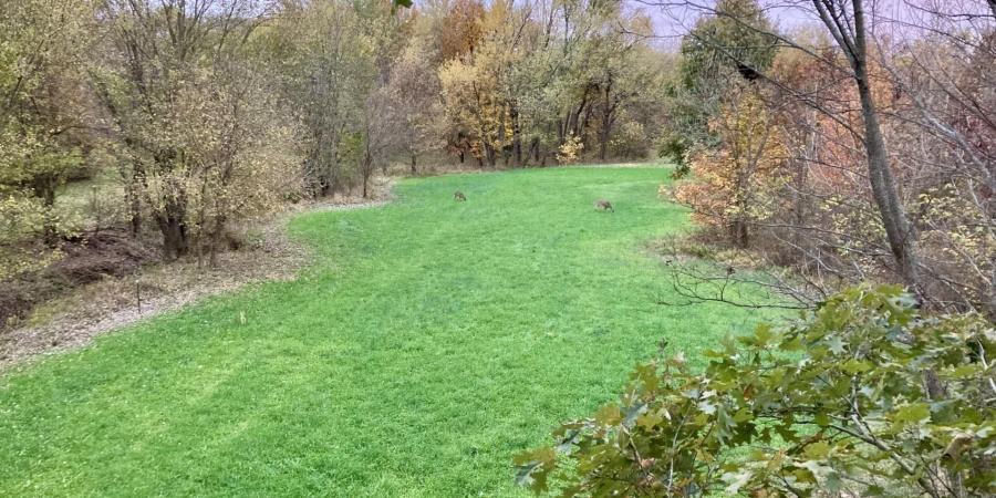 1 S Iron Mountain Road, Bloomfield, Indiana 47424,MLS,202545741