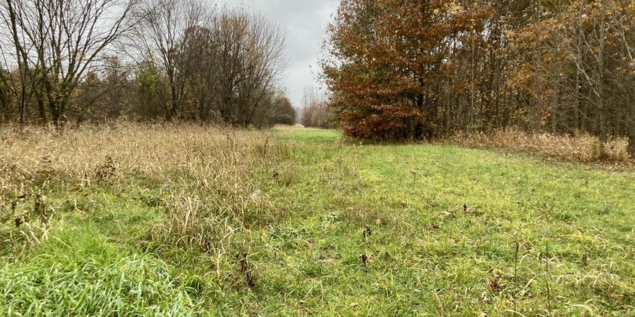 1 S Iron Mountain Road, Bloomfield, Indiana 47424,MLS,202545741