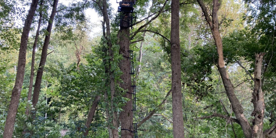 2 S Iron Mountain Road, Bloomfield, Indiana 47424,MLS,202545742