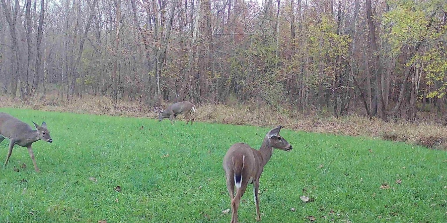 2 S Iron Mountain Road, Bloomfield, Indiana 47424,MLS,202545742