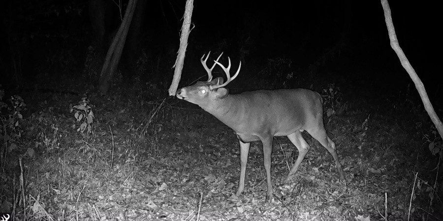 2 S Iron Mountain Road, Bloomfield, Indiana 47424,MLS,202545742