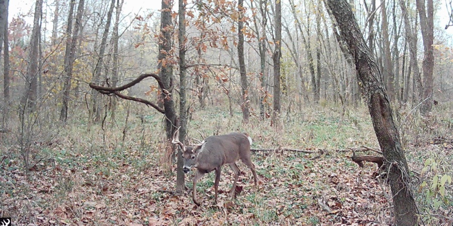 2 S Iron Mountain Road, Bloomfield, Indiana 47424,MLS,202545742