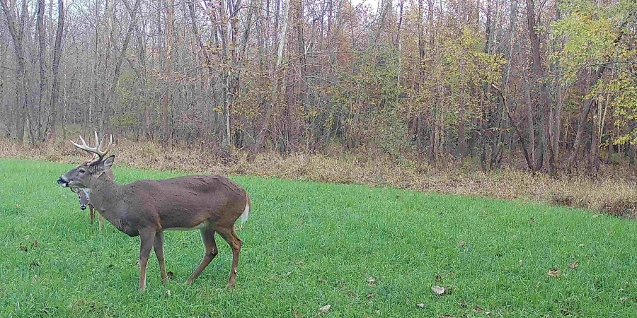 2 S Iron Mountain Road, Bloomfield, Indiana 47424,MLS,202545742