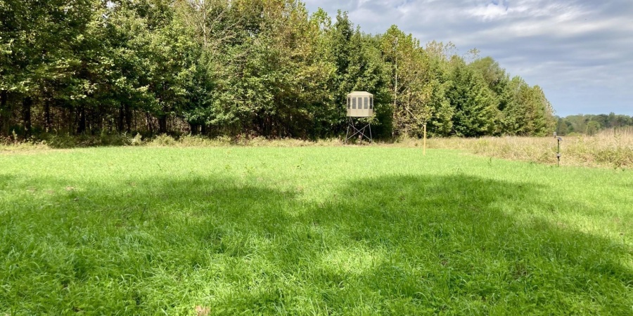 2 S Iron Mountain Road, Bloomfield, Indiana 47424,MLS,202545742