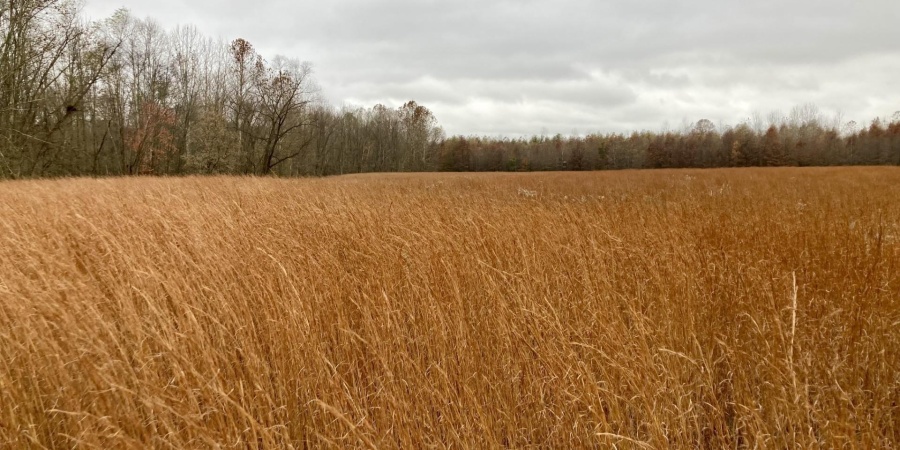 2 S Iron Mountain Road, Bloomfield, Indiana 47424,MLS,202545742