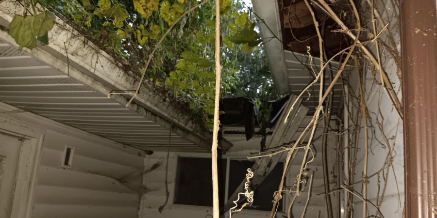 4336 Almond Road, Cloverdale, Indiana 46120,MLS,202536056