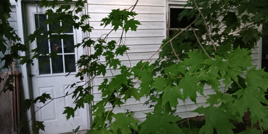 4336 Almond Road, Cloverdale, Indiana 46120,MLS,202536056