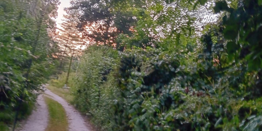 4336 Almond Road, Cloverdale, Indiana 46120,MLS,202536056