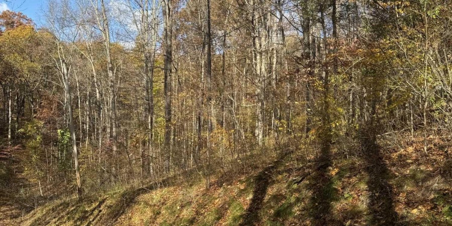 0 Maple Drive, Nashville, Indiana 47448,MLS,202545859