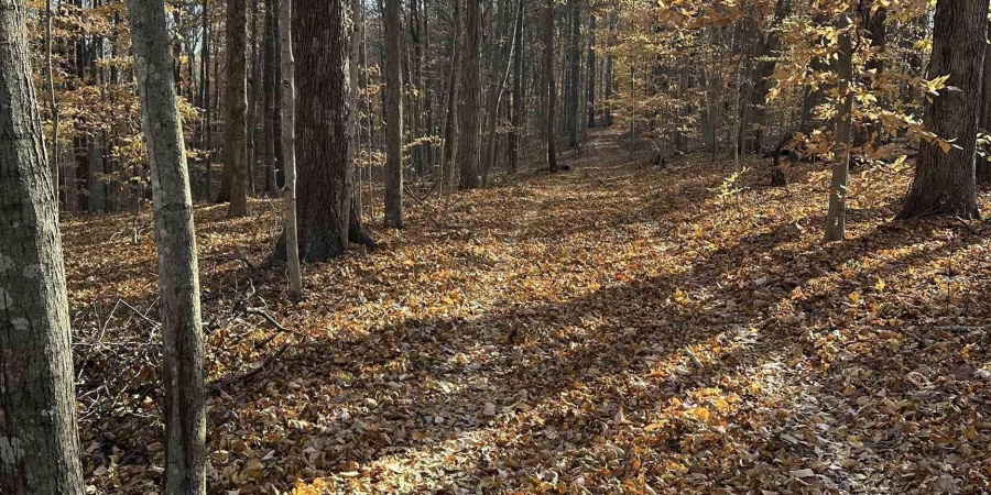 0000 S 1175 Road, Cloverdale, Indiana 46120,MLS,202546350