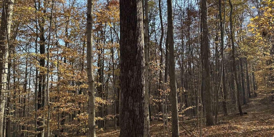 0000 S 1175 Road, Cloverdale, Indiana 46120,MLS,202546350