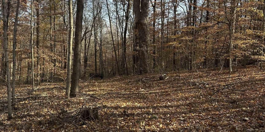 0000 S 1175 Road, Cloverdale, Indiana 46120,MLS,202546350