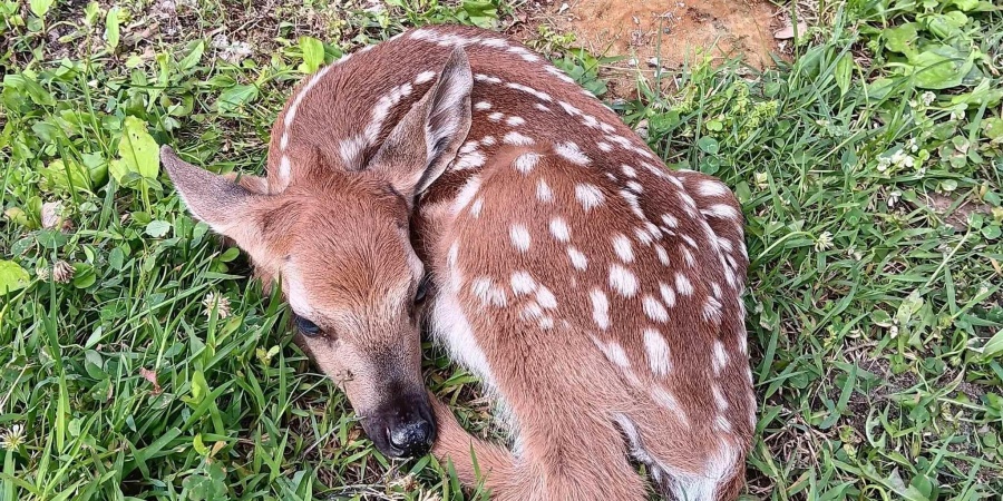 9347 S Lake Ridge Drive, Bloomington, Indiana 47401,MLS,202546398