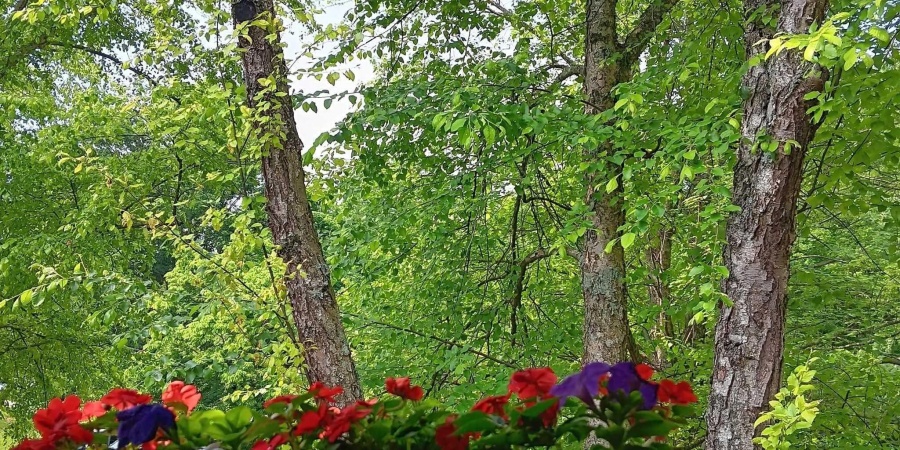 9347 S Lake Ridge Drive, Bloomington, Indiana 47401,MLS,202546398