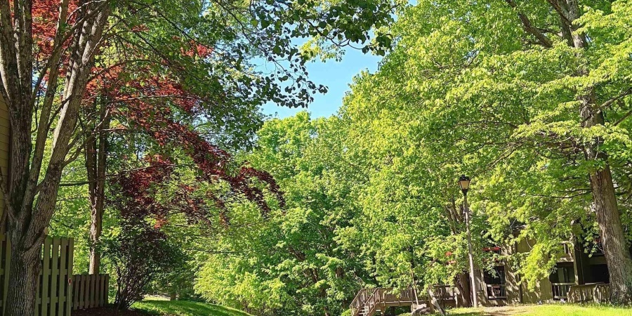 9347 S Lake Ridge Drive, Bloomington, Indiana 47401,MLS,202546398