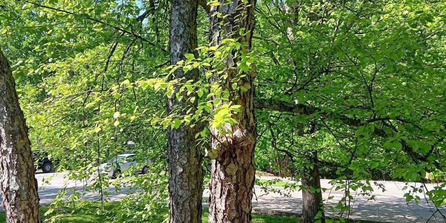 9347 S Lake Ridge Drive, Bloomington, Indiana 47401,MLS,202546398