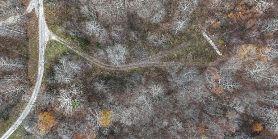 31 Poplar Ridge, Springville, Indiana 47462,MLS,202546456