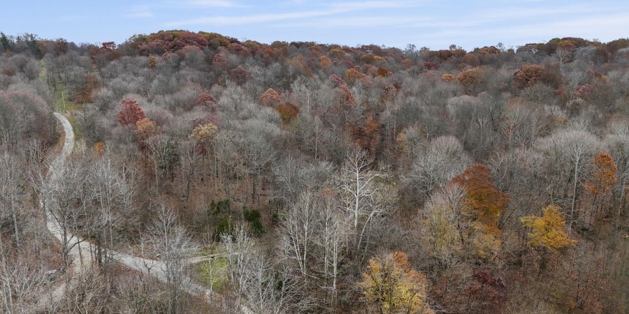 31 Poplar Ridge, Springville, Indiana 47462,MLS,202546456