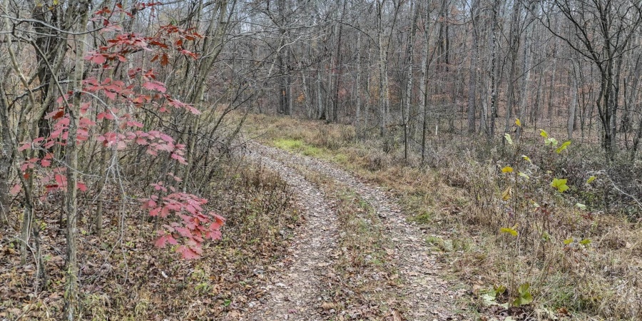 31 Poplar Ridge, Springville, Indiana 47462,MLS,202546456