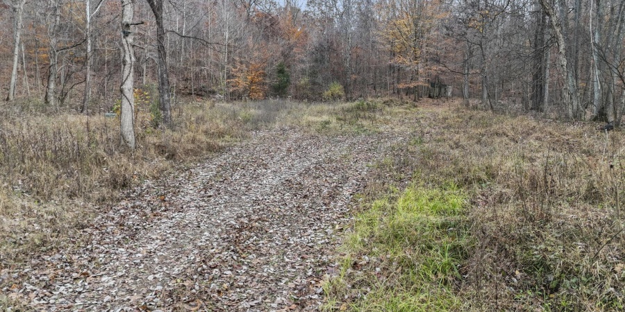 31 Poplar Ridge, Springville, Indiana 47462,MLS,202546456