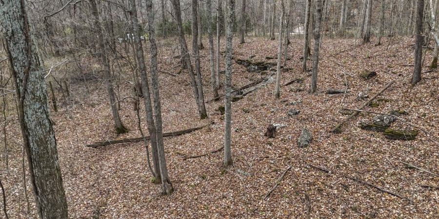 31 Poplar Ridge, Springville, Indiana 47462,MLS,202546456