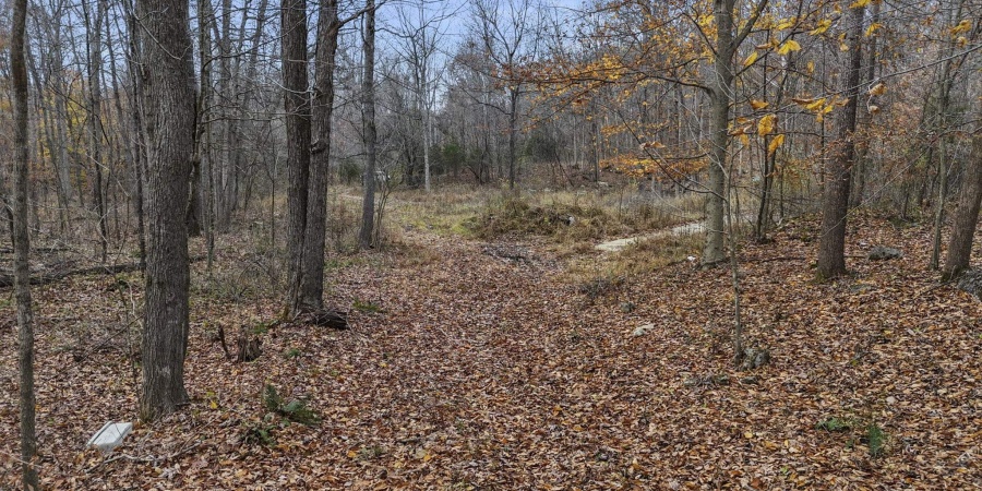 31 Poplar Ridge, Springville, Indiana 47462,MLS,202546456