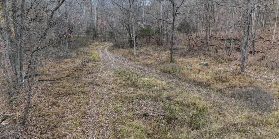 31 Poplar Ridge, Springville, Indiana 47462,MLS,202546456