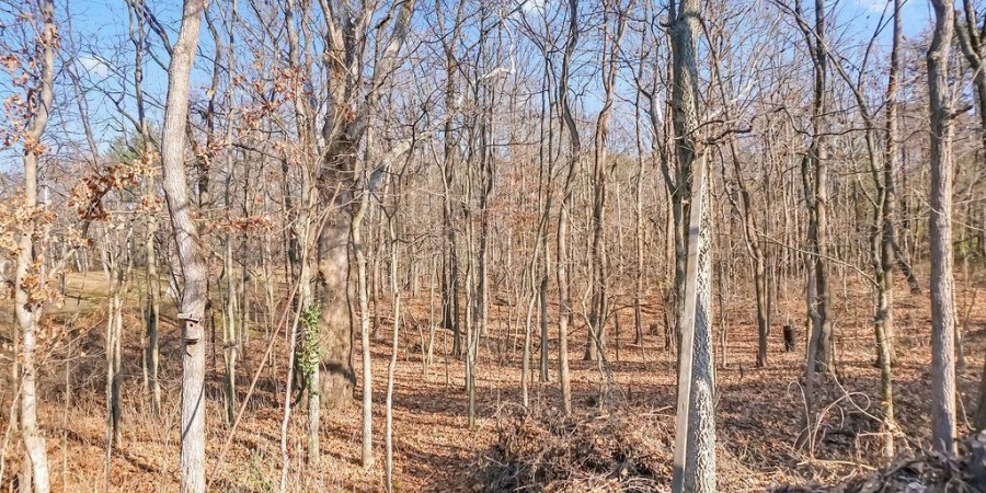 5151 S Harmony Road, Bloomington, Indiana 47403,MLS,202546737