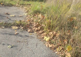 8253 State Hwy 43 Highway, Bloomington, Indiana 47401-4740,MLS,202544867