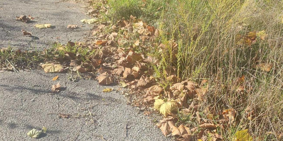 8253 State Hwy 43 Highway, Bloomington, Indiana 47401-4740,MLS,202544867