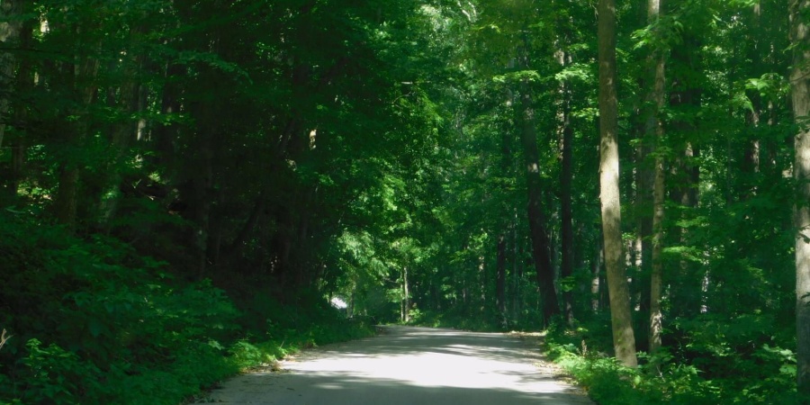 1788 Hancock School Road, Spencer, Indiana 47460,MLS,202525003