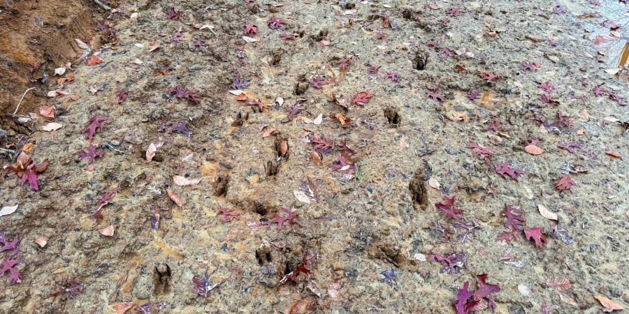 0 N Tunnel Road, Unionville, Indiana 47468,MLS,202547353