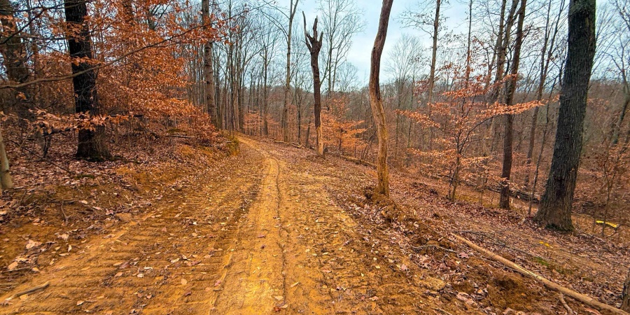 0 N Tunnel Road, Unionville, Indiana 47468,MLS,202547353