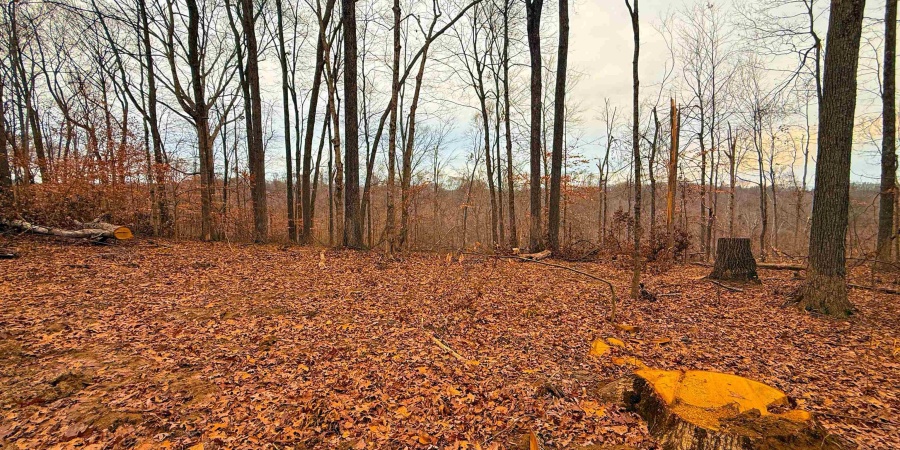 0 N Tunnel Road, Unionville, Indiana 47468,MLS,202547353