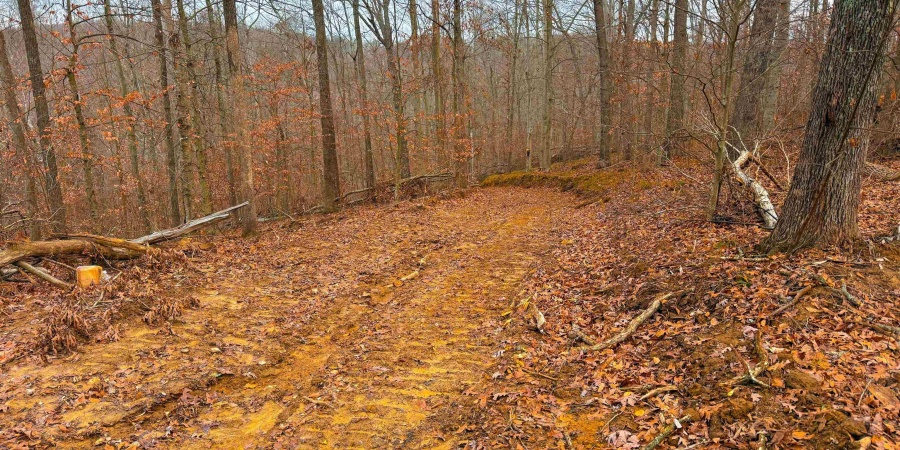 0 N Tunnel Road, Unionville, Indiana 47468,MLS,202547353