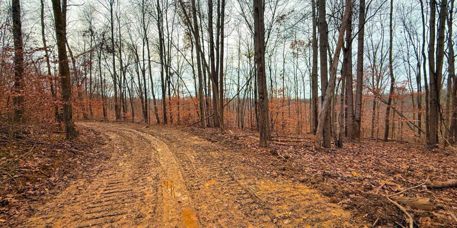 0 N Tunnel Road, Unionville, Indiana 47468,MLS,202547353