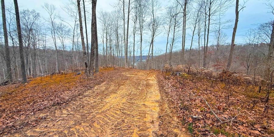 0 N Tunnel Road, Unionville, Indiana 47468,MLS,202547353