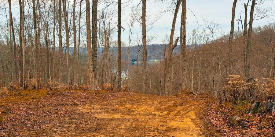 0 N Tunnel Road, Unionville, Indiana 47468,MLS,202547353