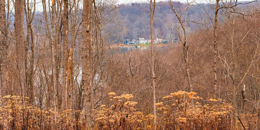 0 N Tunnel Road, Unionville, Indiana 47468,MLS,202547353