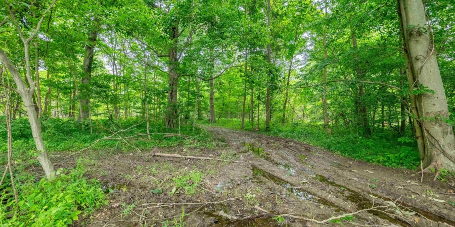 Tract 1 N US Hwy 231, Gosport, Indiana 47460,MLS,202547576