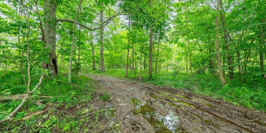 Tract 1 N US Hwy 231, Gosport, Indiana 47460,MLS,202547576