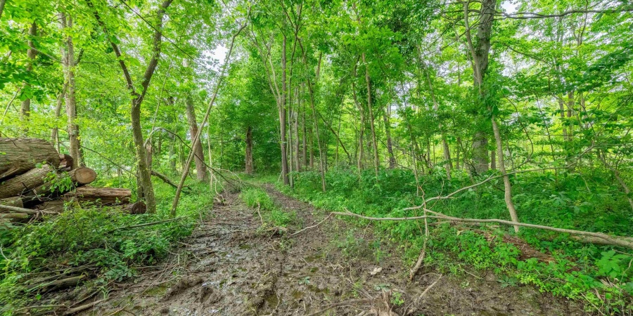 Tract 1 N US Hwy 231, Gosport, Indiana 47460,MLS,202547576