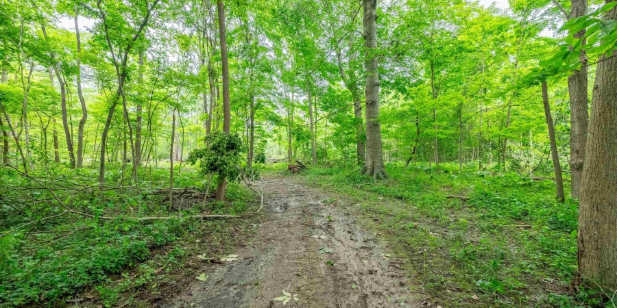 Tract 1 N US Hwy 231, Gosport, Indiana 47460,MLS,202547576