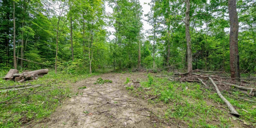 Tract 2 N UW Hwy 231, Gosport, Indiana 47460,MLS,202547577