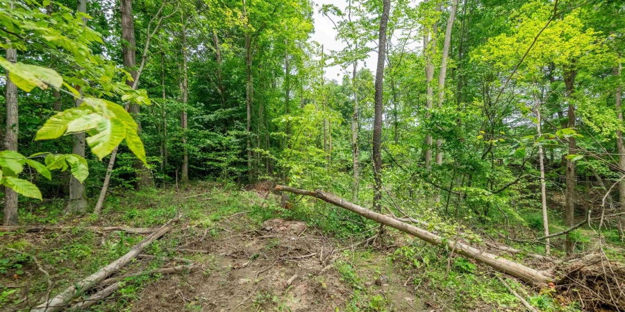 Tract 3 N US Hwy 231, Gosport, Indiana 47460,MLS,202547579